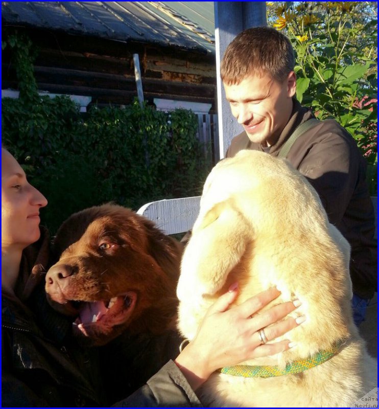 Фотография № 189855