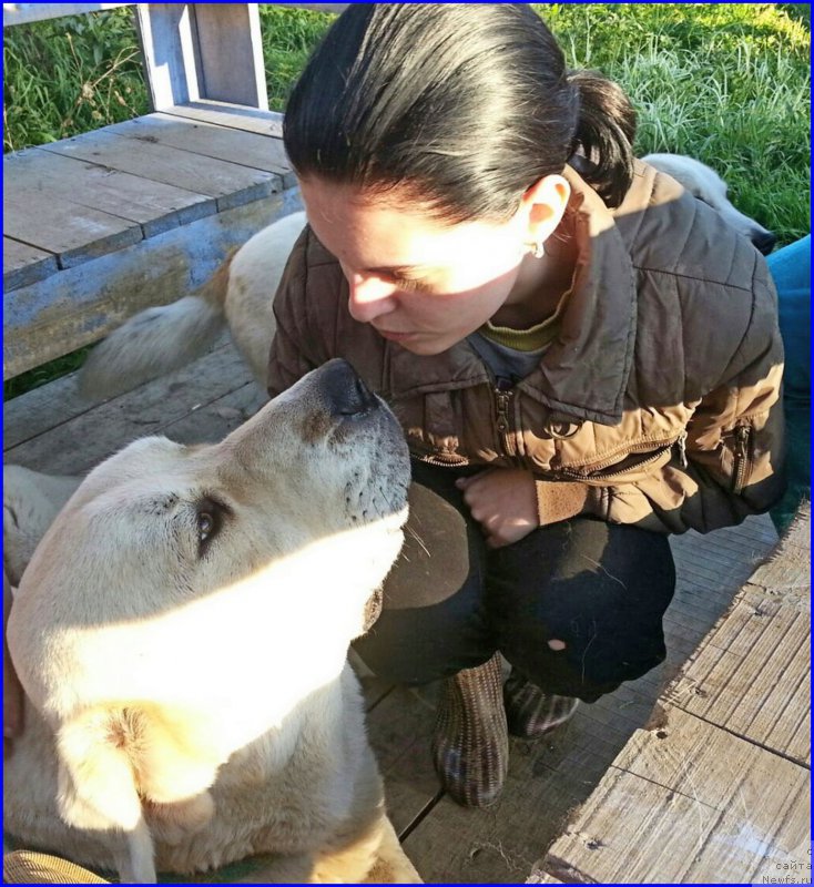 Фотография № 189856