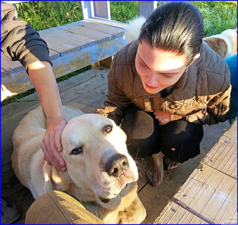 Фотография № 189857