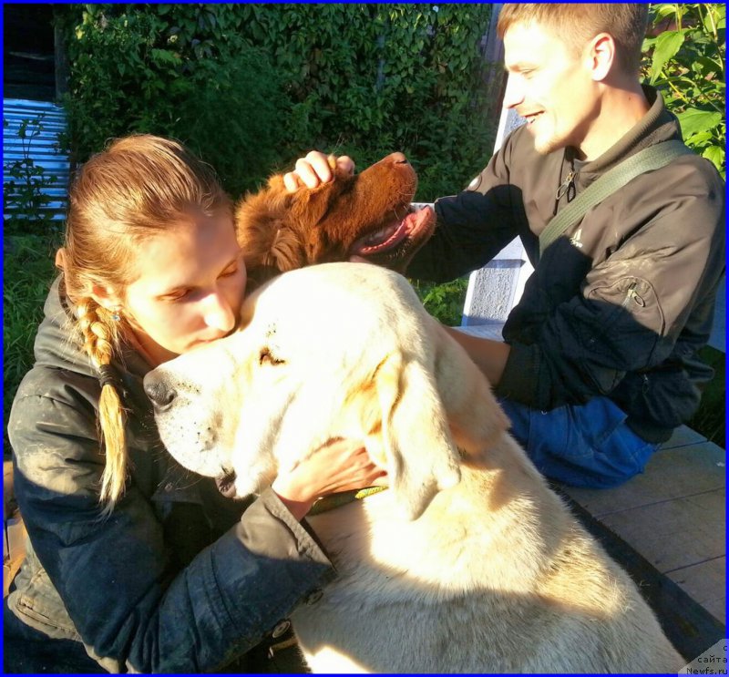 Фотография № 189860