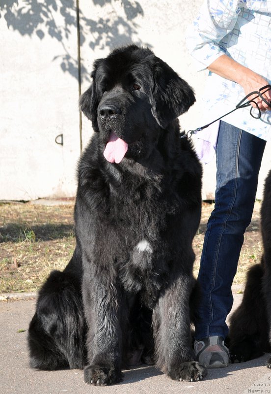 Фотография № 189868