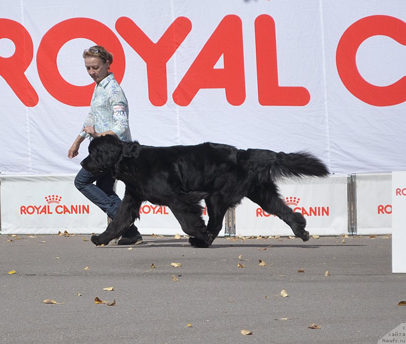 Фотография № 189870