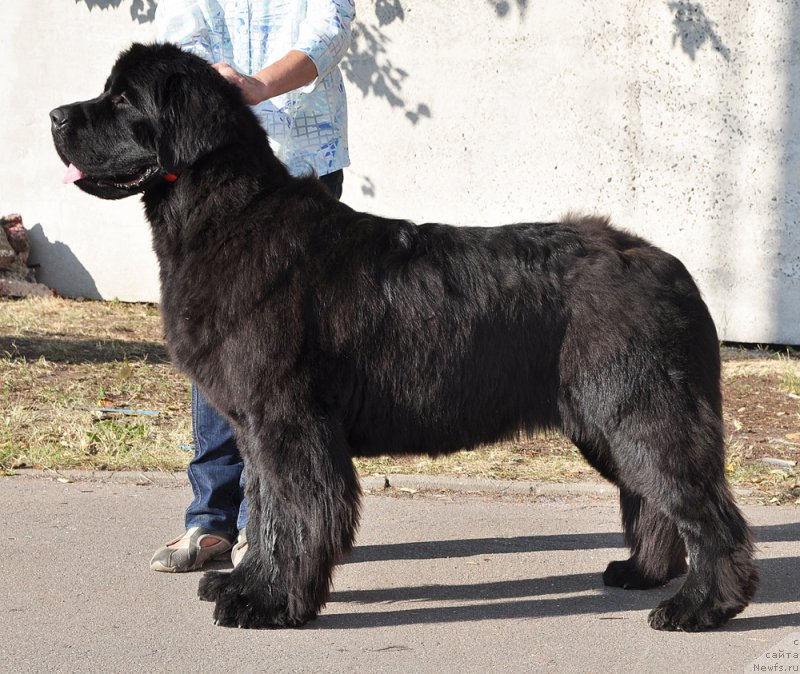 Фотография № 189871