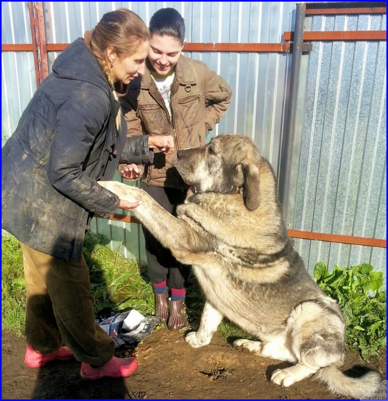 Фотография № 189876