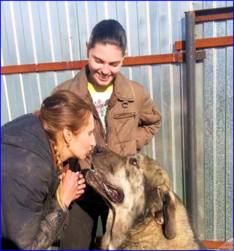 Фотография № 189877