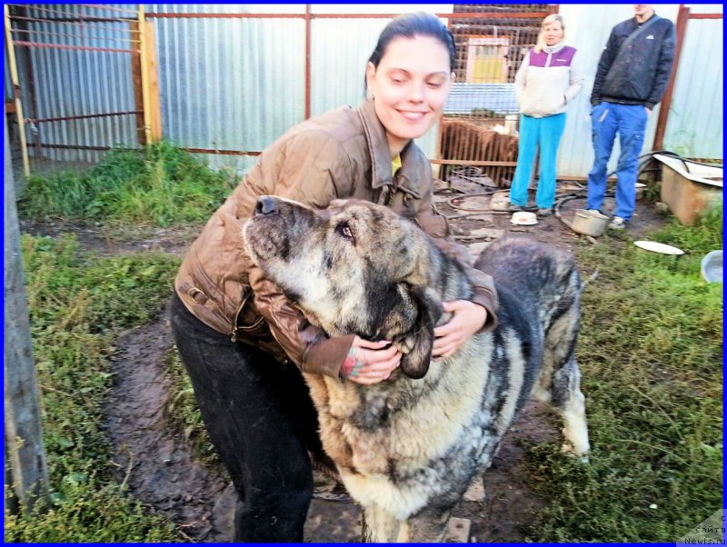 Фотография № 189879