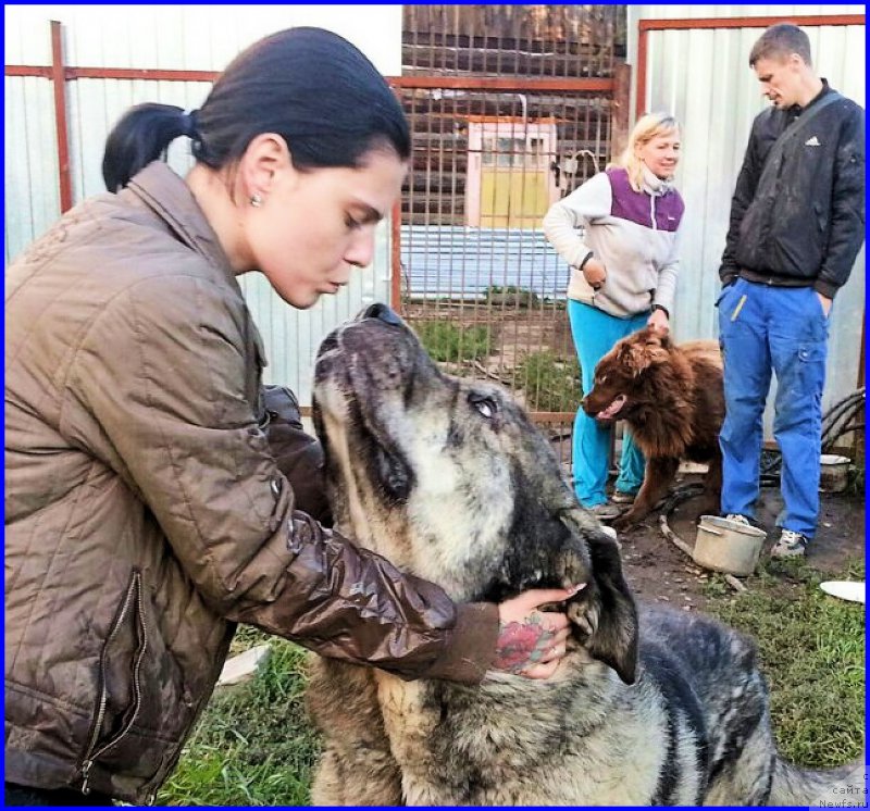 Фотография № 189880