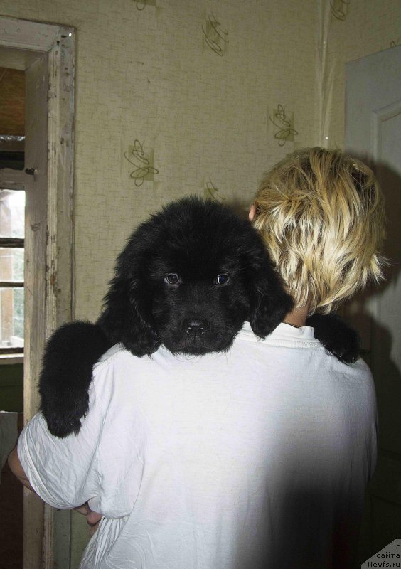 Фотография № 189886