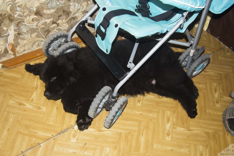 Фотография № 189888