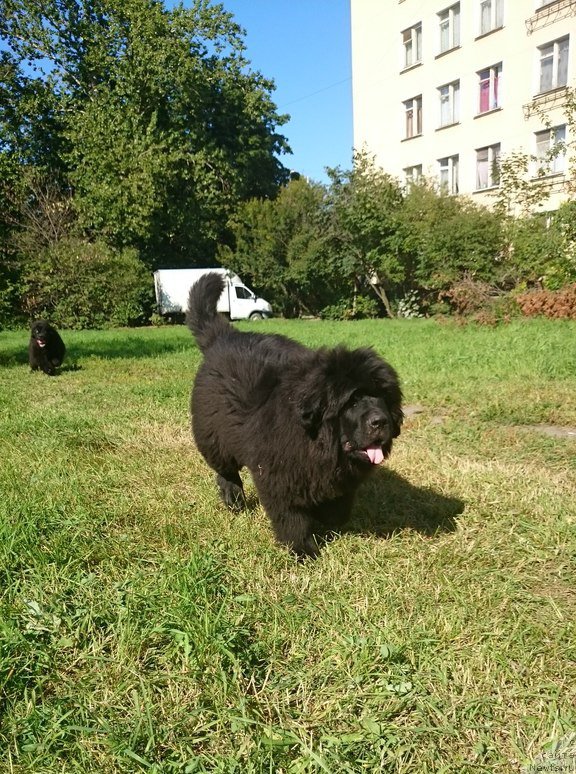 Фотография № 189900