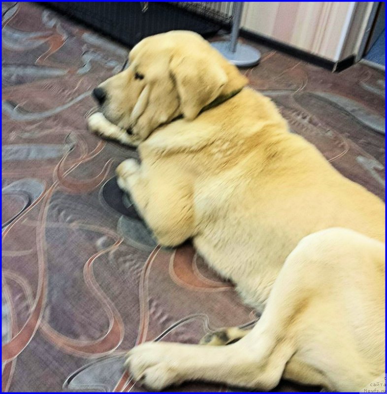 Фотография № 189914