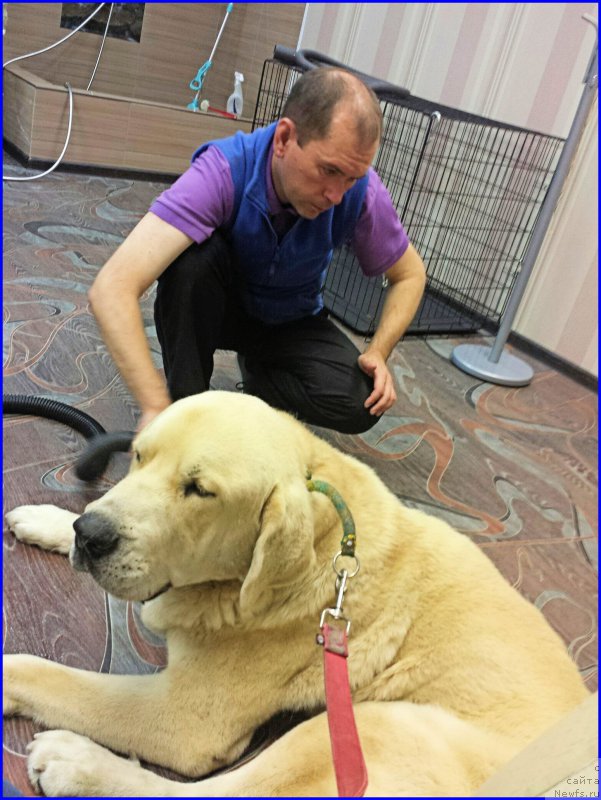 Фото: Lena Zyirina (Лена Зырина), ФРАНКО