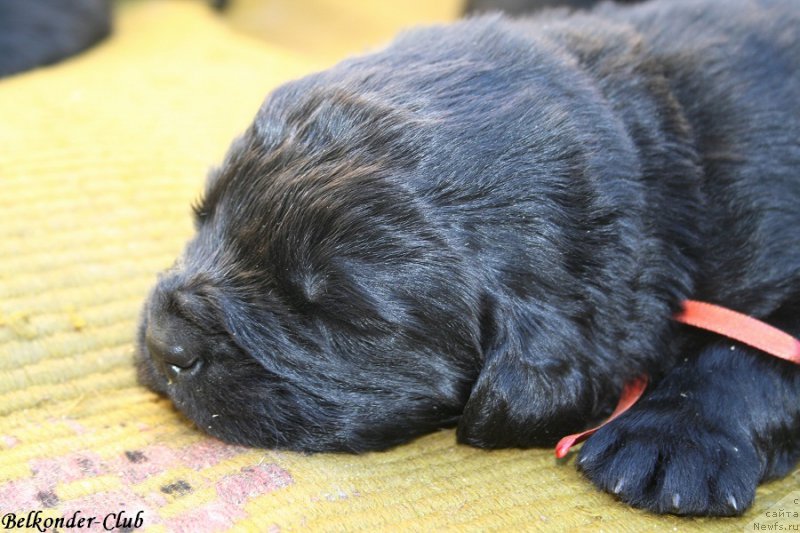 Фотография № 189923