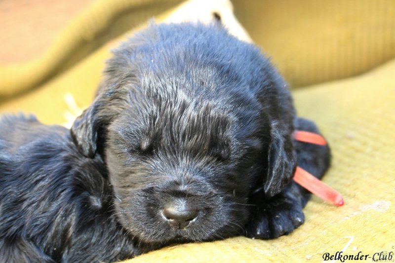 Фотография № 189924