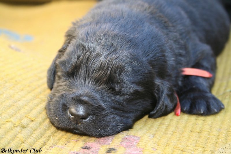 Фотография № 189925