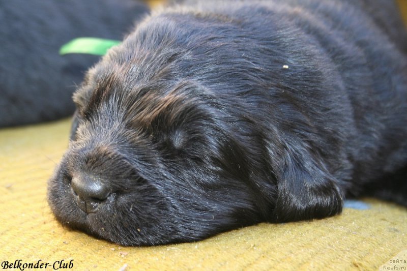 Фотография № 189927