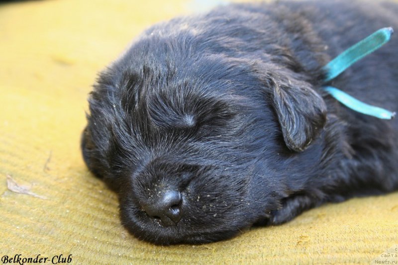 Фотография № 189933