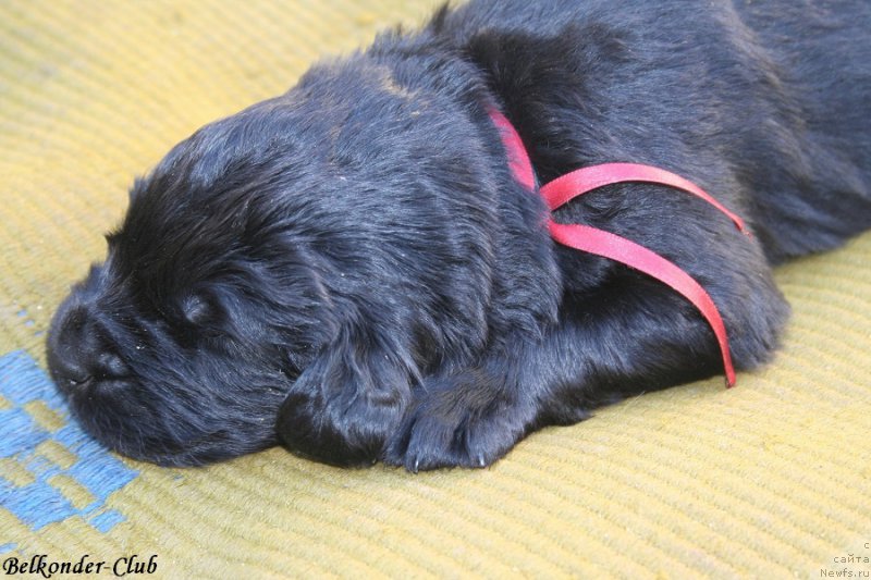 Фотография № 189936