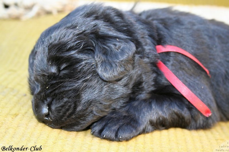 Фотография № 189937