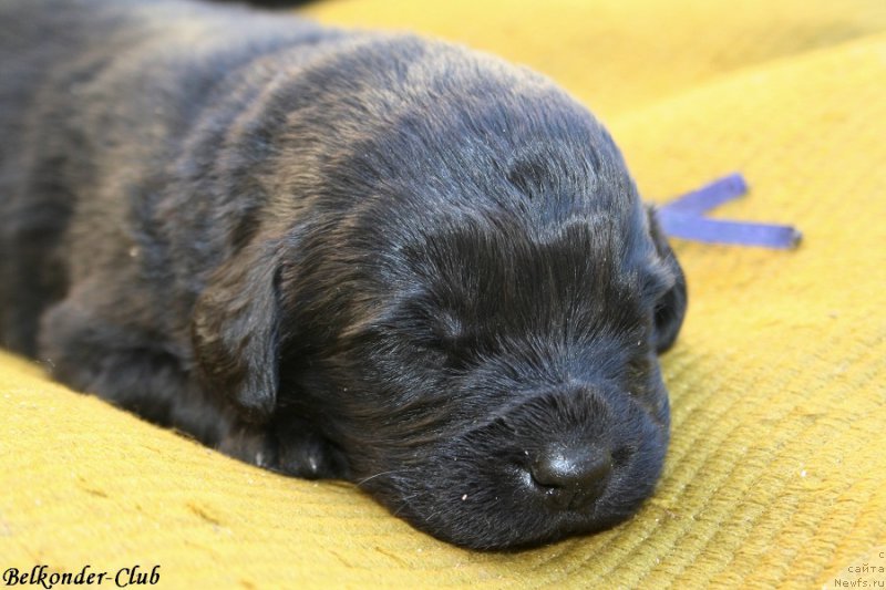 Фотография № 189943