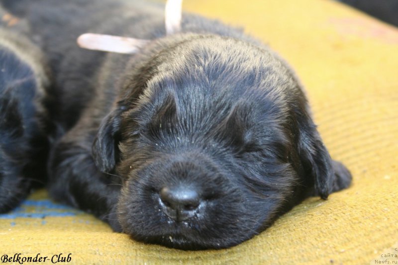 Фотография № 189944