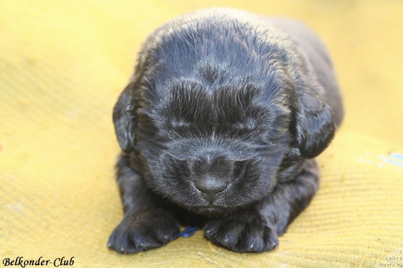 Фотография № 189948