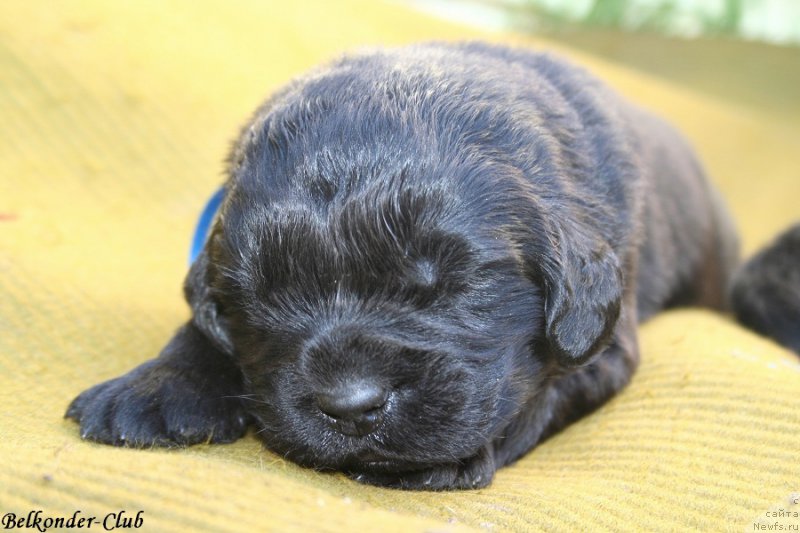 Фотография № 189950