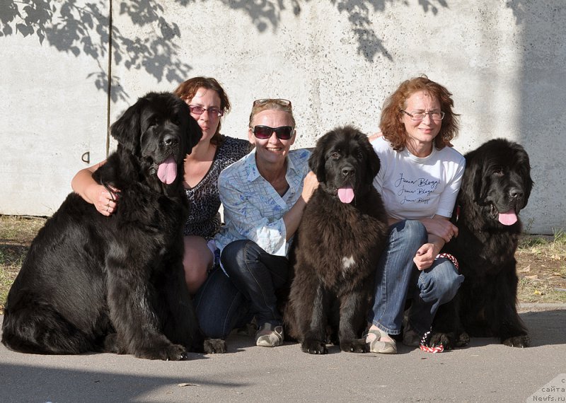 Фотография № 189951