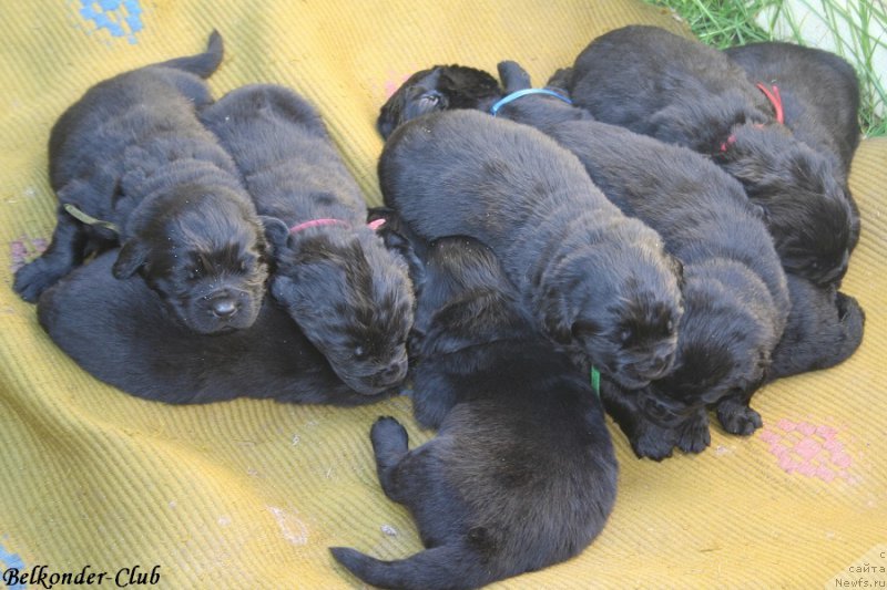 Фотография № 189954