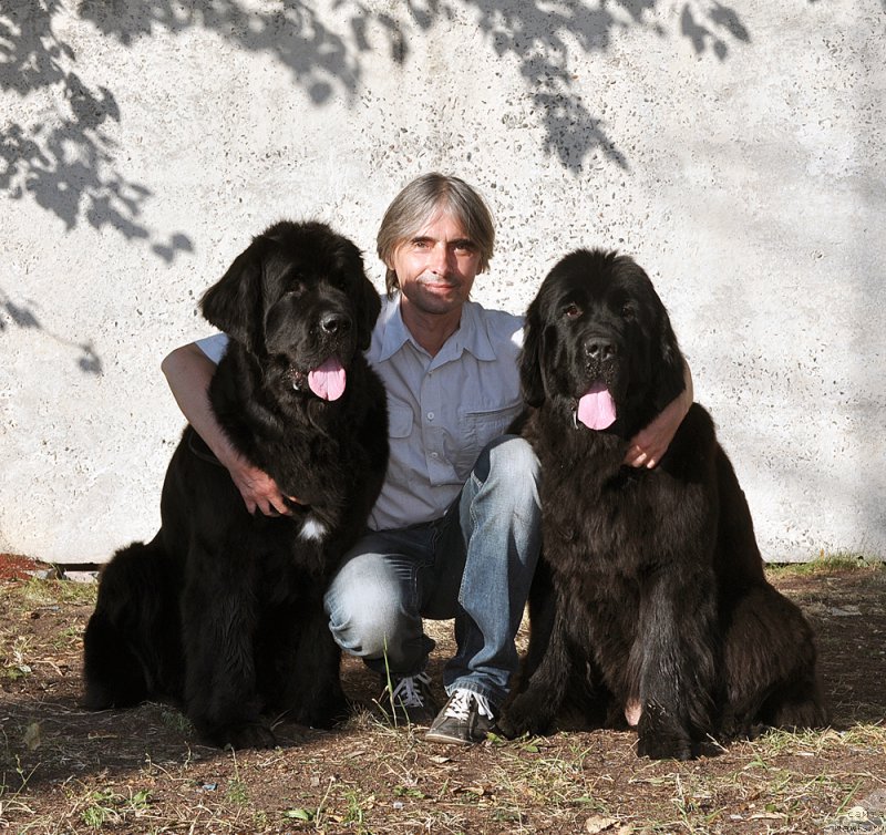 Фотография № 189955