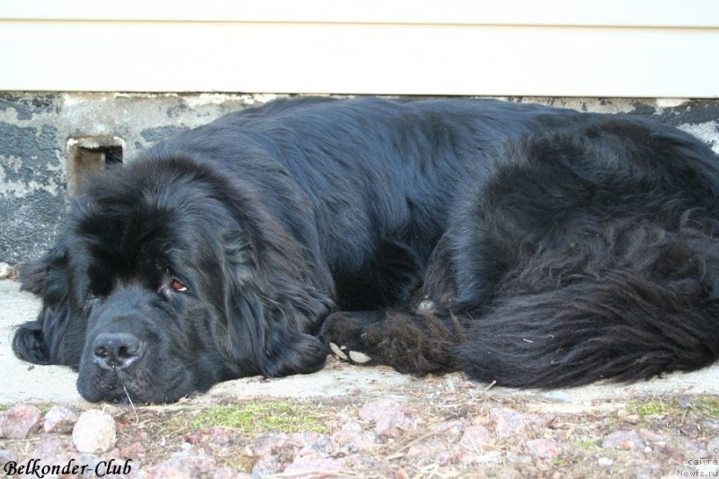 Фотография № 189957