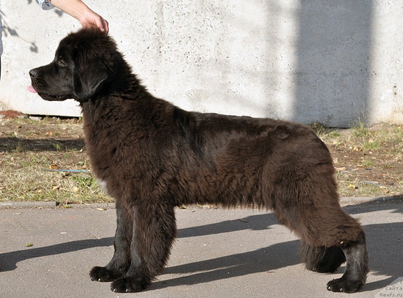 Фотография № 189959