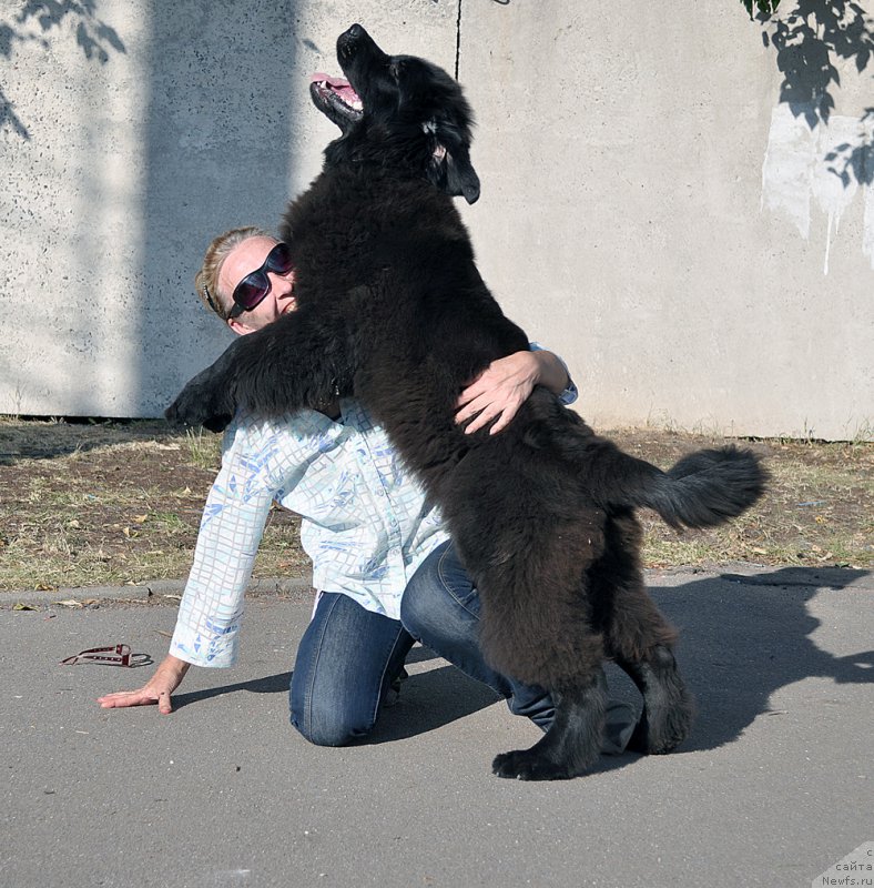 Фотография № 189962