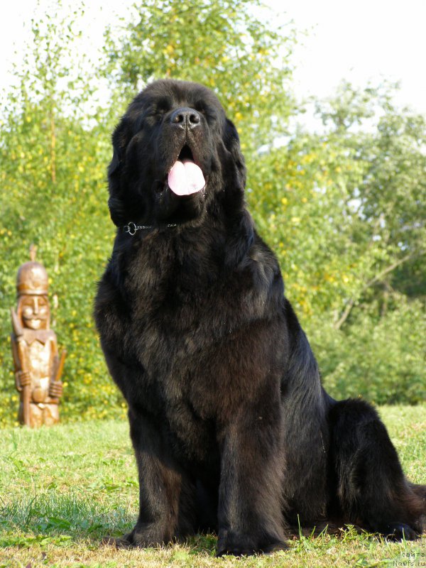 Фотография № 190003