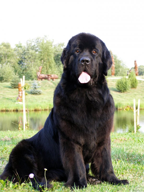 Фотография № 190031