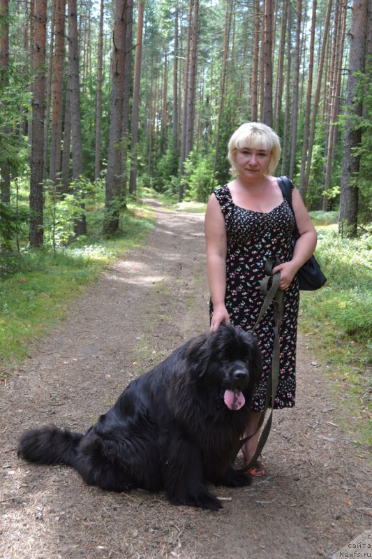 Фотография № 190060