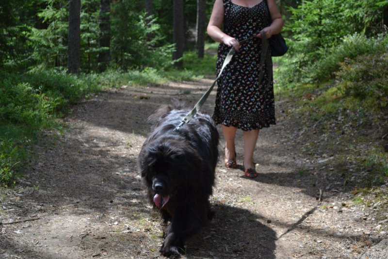 Фотография № 190061