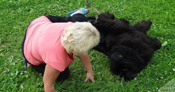 Фотография № 190062