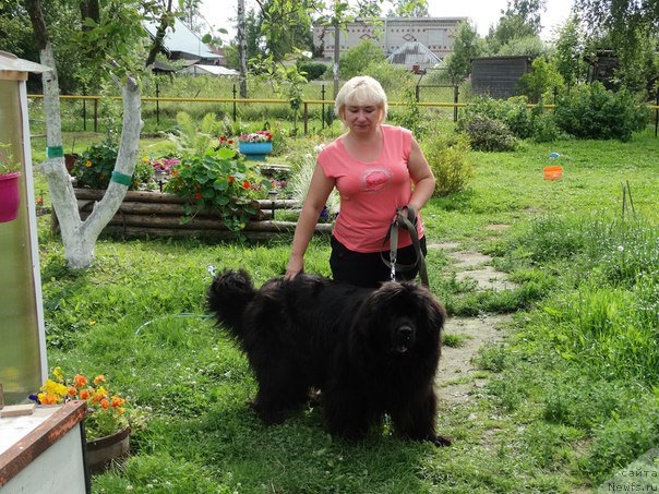 Фотография № 190063