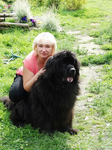 Фотография № 190064