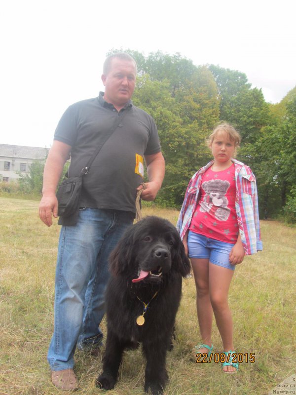 Фото: ньюфаундленд Velyke Malyatko Enej