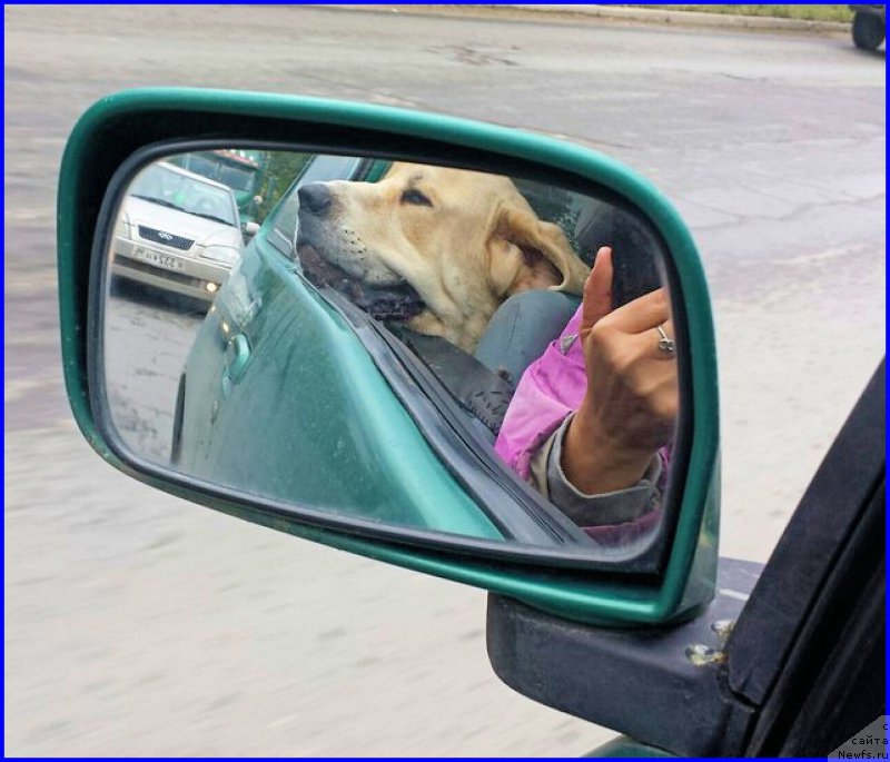 Фотография № 190090