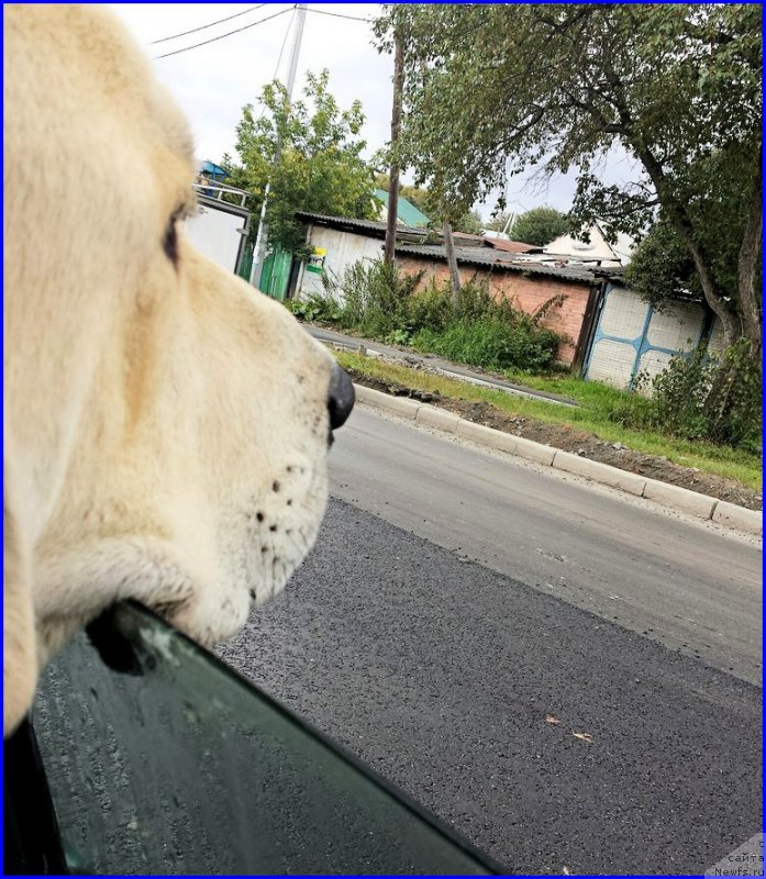 Фотография № 190091