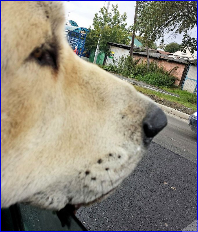 Фотография № 190092