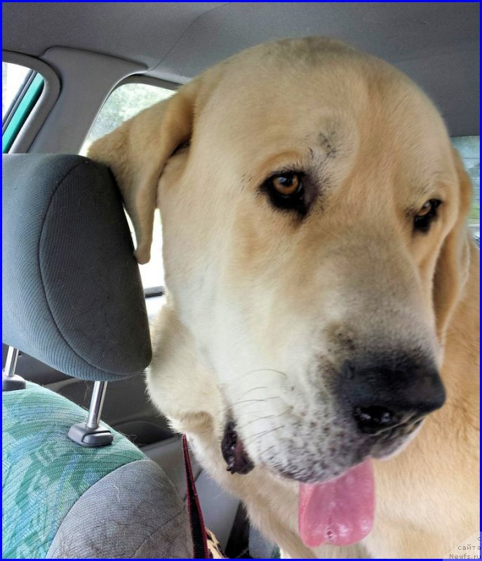 Фотография № 190093