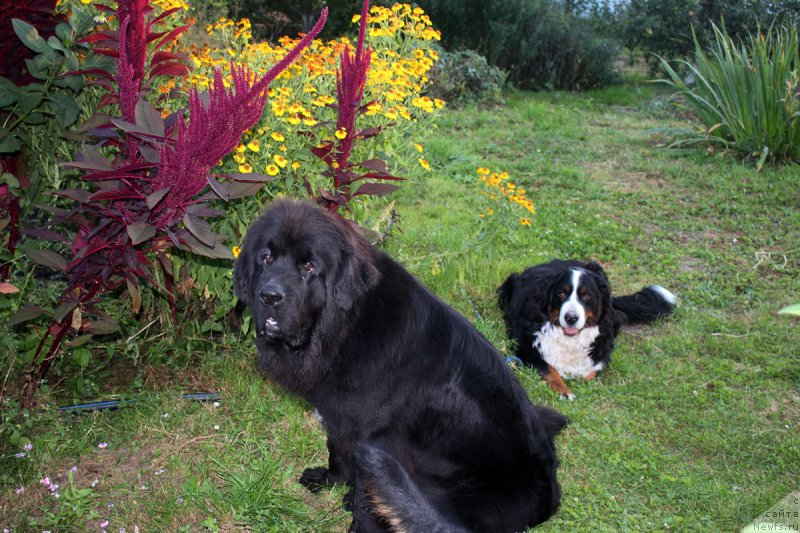 Фотография № 190103