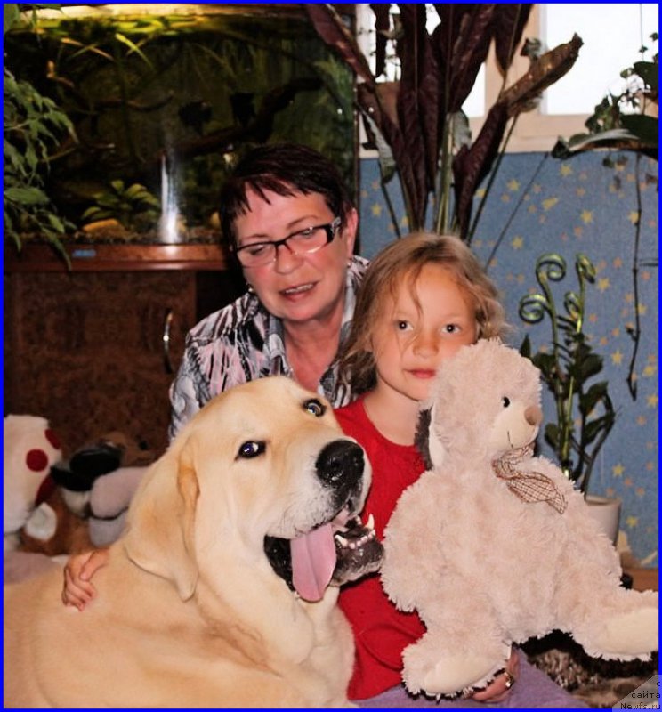 Фотография № 190111