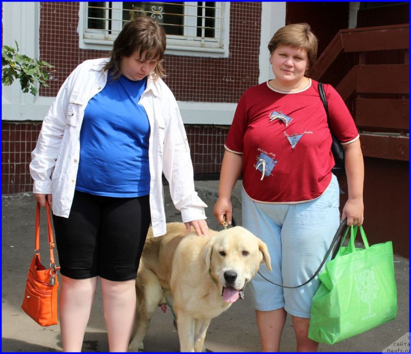 Фото: Lena Zyirina (Лена Зырина), ФРАНКО, ЛАРИСА, ЗИНА