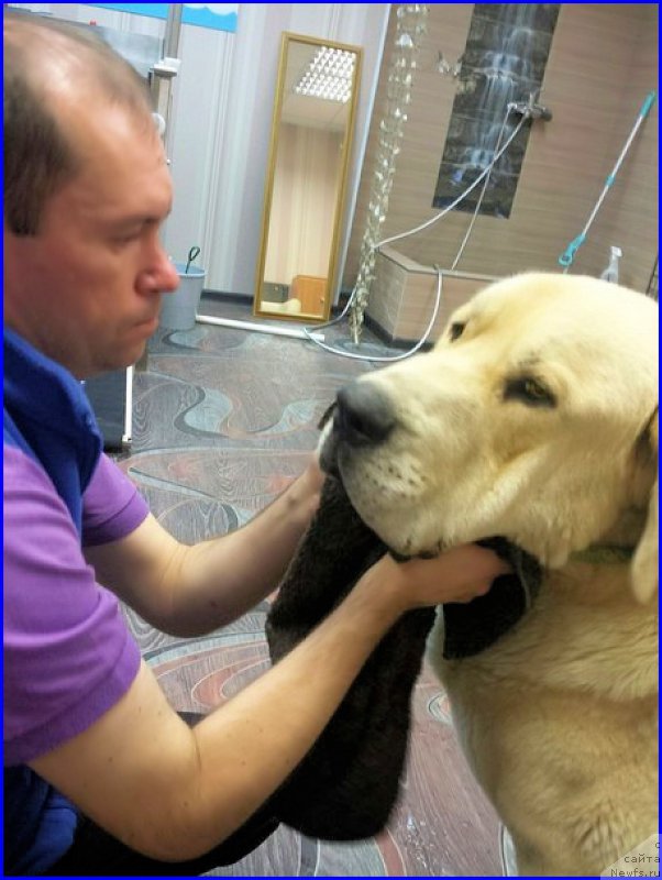 Фотография № 190120