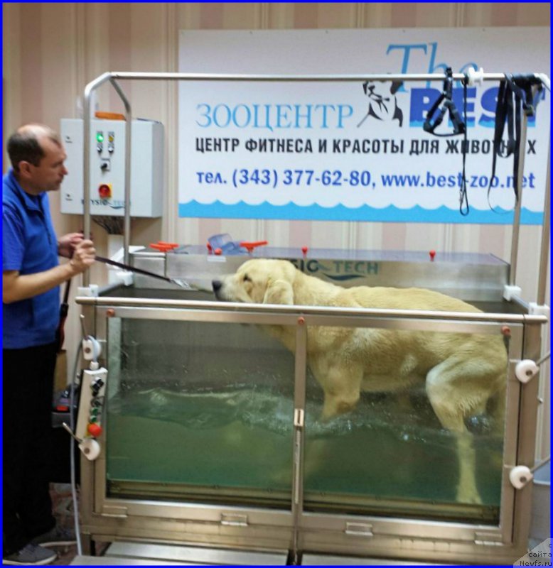 Фото: Lena Zyirina (Лена Зырина), ФРАНКО, доктор САША